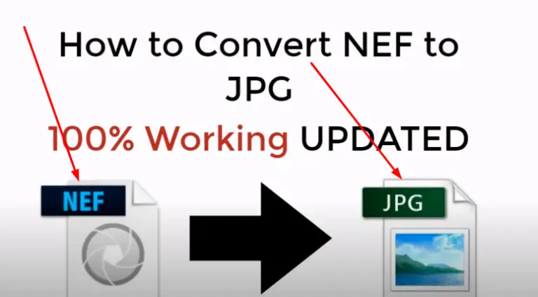 How To Convert Nef To Jpg In Nikon Camera- With 6 Images