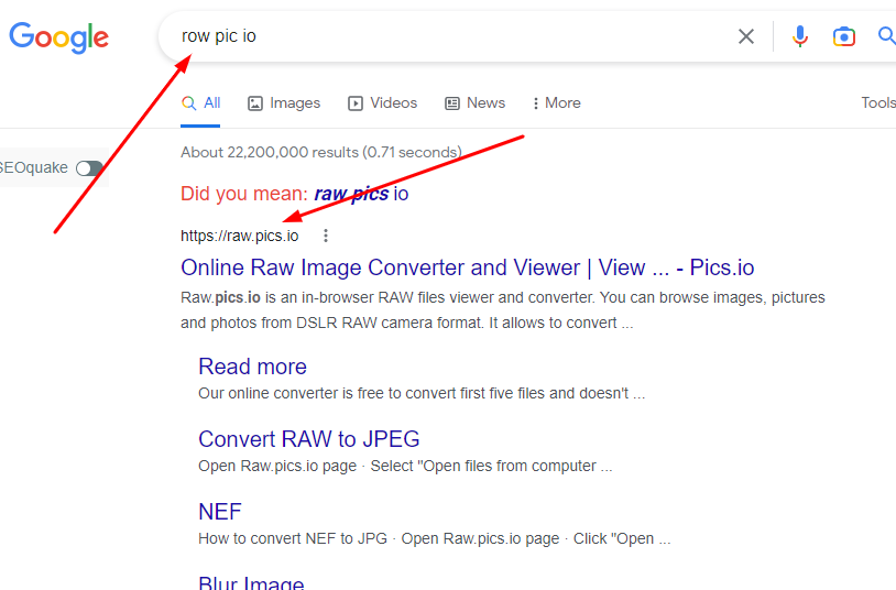 Search in google ( row pic io ) And, Click raw. pics io website.